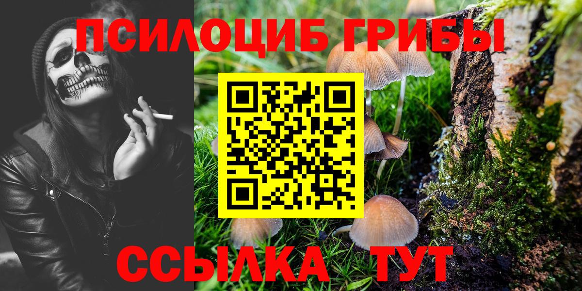 Галлюциногенные грибы GOLDEN TEACHER Реутов